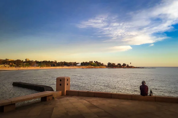 Городская Прибрежная Сцена Montevideo Город Uruguay — стоковое фото