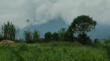 Araba açısından baktığımızda, ekvator And Dağlarının batı yamaçlarında, Guayaquil 'den Cuenca' ya uzanan yol boyunca uzanan gür, nemli bir dağ ormanı.. 