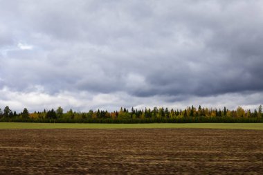 Sonbahar kırsal manzara üzerinde hareket eden bir arabanın üzerinden bulutlu yağmurlu bir gün