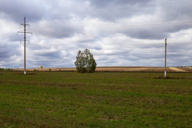 Sonbahar kırsal manzara üzerinde hareket eden bir arabanın üzerinden bulutlu yağmurlu bir gün