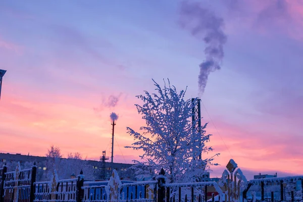 Zonsopgang Winter Gefilmd Cheboksary Rusland Eind December — Stockfoto