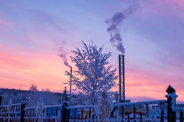 Αυγή Χειμώνα Γυρίστηκε Τσεμποκσάρι Στη Ρωσία Στα Τέλη Δεκεμβρίου — Φωτογραφία Αρχείου