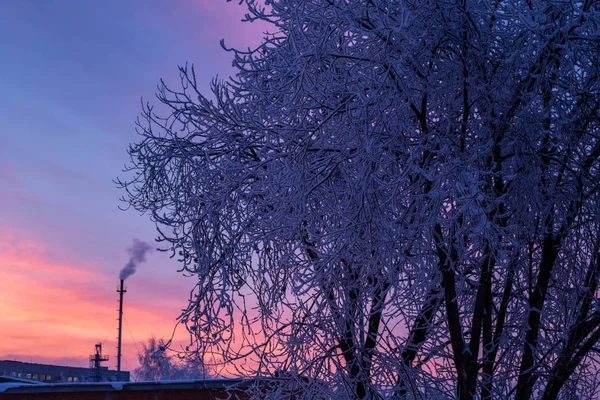 Zonsopgang Winter Gefilmd Cheboksary Rusland Eind December — Stockfoto