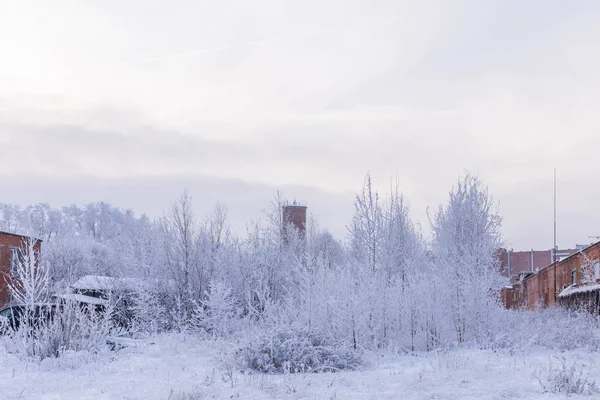 Fábrica Ociosa Día Invierno Filmado Finales Diciembre Cheboksary Rusia —  Fotos de Stock