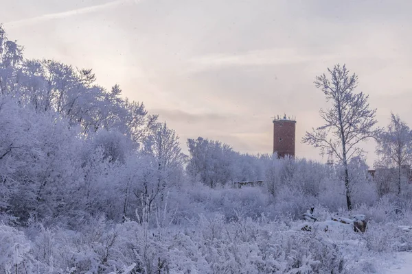 Antigua Torre Agua Fondo Los Árboles Cubiertos Nieve Cielo Invierno —  Fotos de Stock