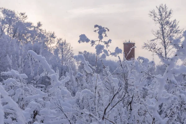 Παλαιός Πύργος Νερού Στο Φόντο Των Δέντρα Καλυμμένα Χιόνι Και — Φωτογραφία Αρχείου