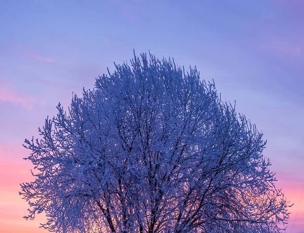 Zonsopgang Winter Gefilmd Cheboksary Rusland Eind December Stockfoto