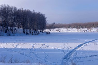 Kışın güneşli bir gün. Alan ve Rusya'da Çuvaşistan ağaçlarda.