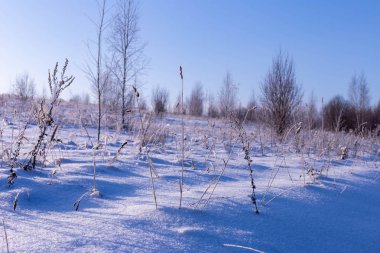 Kışın güneşli bir gün. Alan ve Rusya'da Çuvaşistan ağaçlarda.