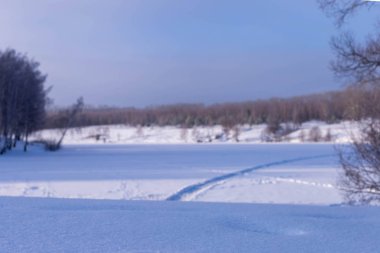 Kışın güneşli bir gün. Alan ve Rusya'da Çuvaşistan ağaçlarda.