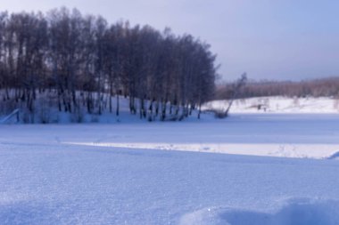 Kışın güneşli bir gün. Alan ve Rusya'da Çuvaşistan ağaçlarda.