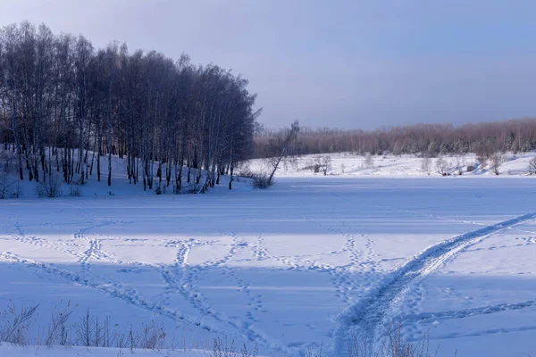Kışın güneşli bir gün. Alan ve Rusya'da Çuvaşistan ağaçlarda.