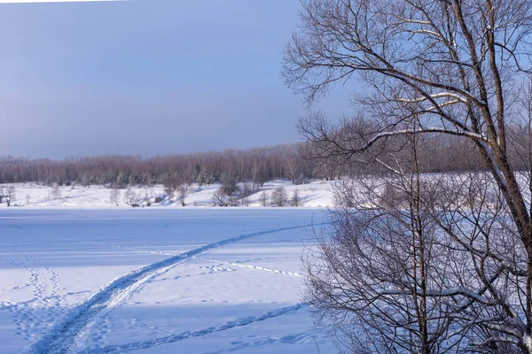 Dia Ensolarado Inverno Campo Árvores Chuvashia Rússia — Fotografia de Stock