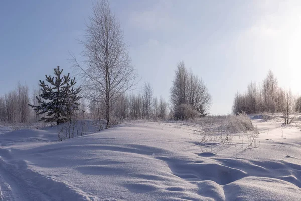 Solig Dag Vintern Fält Och Träd Tjuvasjien Ryssland — Stockfoto