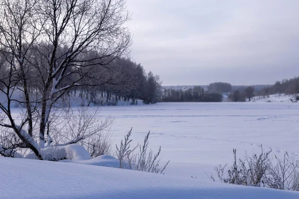 Ηλιόλουστη Μέρα Χειμώνα Πεδίο Και Δέντρα Τσουβασία Στη Ρωσία — Φωτογραφία Αρχείου