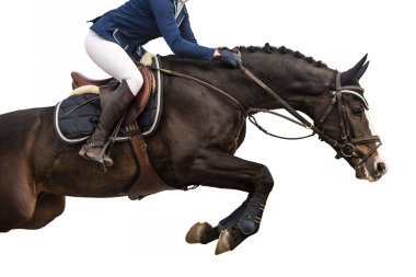 Binicilik Sporları, At Atlama Etkinliği, Beyaz Arkaplanda İzole Edildi