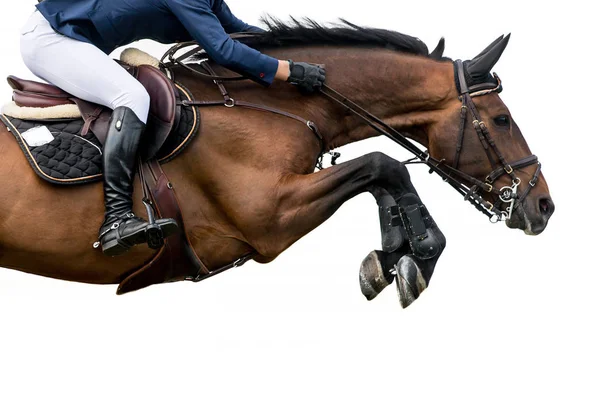 Paardensport Horse Jumping Event Geïsoleerd Witte Achtergrond — Stockfoto