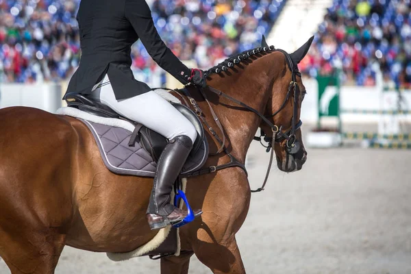 Evento Salto Caballo Show Jumping Sports Fotos de stock