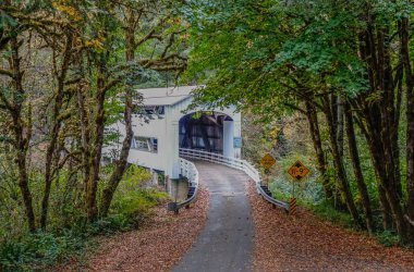 Florence, Oregon, Amerika Birleşik Devletleri - 16 Ekim 2015: Yaban kedisi Creek kapalı köprü orman arasında. Köprüleriyle şehir Floransa Oregon bir sonbahar gününde yakınındaki birini
