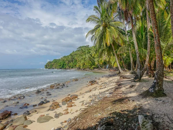 Bastimentos Island Bocas Del Toro Panama Marca 2017 Lonely Beach — Zdjęcie stockowe