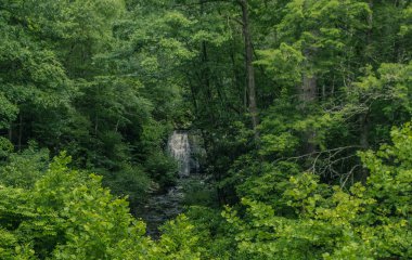 Great Smoky Mountains Expressway, Cherokee, North Carolina - June 19, 2018: Waterfall in the interior of a forest in Great Smoky Mountains clipart