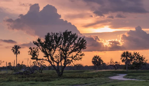 Фелинго Центр Национальный Парк Эвербедес Флорида Сша Июля 2018 Года — стоковое фото