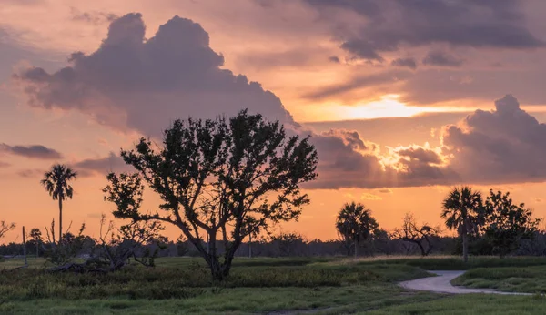 Flamingo Visitor Center Everglades National Park Florida Eua Julho 2018 — Fotografia de Stock