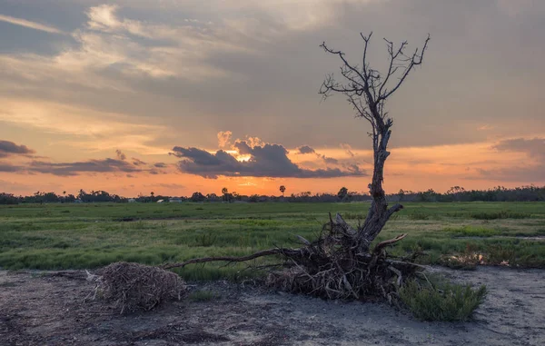 Flamingo Visitor Center Everglades National Park Florida Eua Julho 2018 — Fotografia de Stock