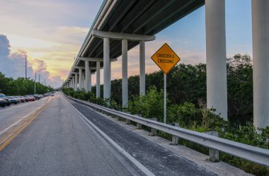 Yurtdışı Karayolu Key West Island, Florida Keys, Florida, ABD - 15 Temmuz 2018: alt denizaşırı karayolu ile geçen timsahlar için bir uyarı işareti görünümünü