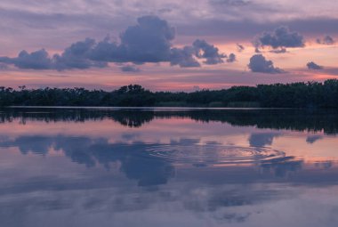 Paurotis gölet Everglades Ulusal Park, Florida, ABD - 16 Temmuz 2018: Sunset ve yansımaları Paurotis gölet Everglades Ulusal Parkı yakınındaki Homestead, Florida