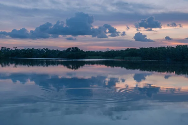 Paurotis Pond Parque Nacional Everglades Flórida Eua Julho 2018 Pôr — Fotografia de Stock