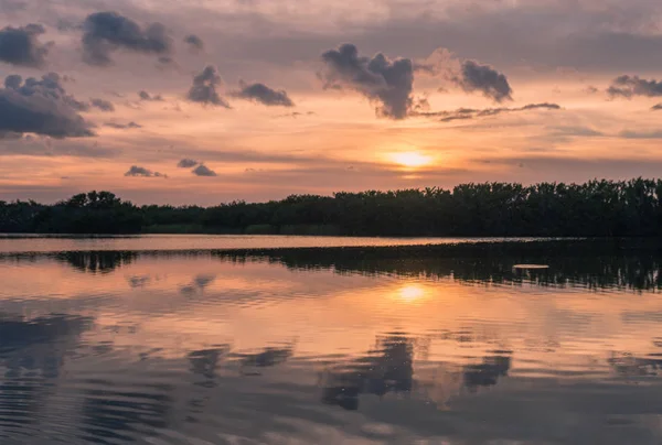 Paurotis Pond Parque Nacional Everglades Flórida Eua Julho 2018 Pôr — Fotografia de Stock