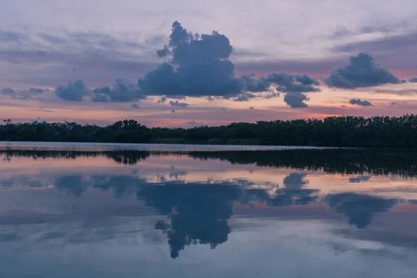 Paurotis Pond Parque Nacional Everglades Flórida Eua Julho 2018 Pôr — Fotografia de Stock