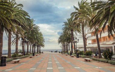 Yalnız bir yürüyüş