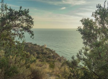 İki ağaç arasında görünüm