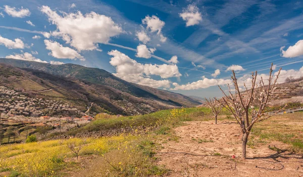 Primavera en el valle — Foto de Stock