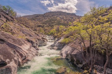 Vista panorámica de un torrente