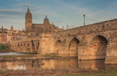 Salamanca Roma köprüsü ve katedrali
