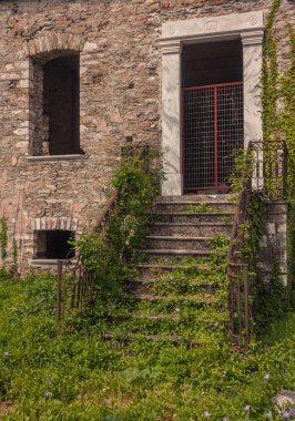 Sarmaşıkla kaplı terk edilmiş ev