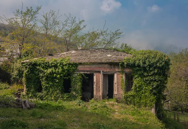 Casa abandonada cubierta de hiedra — Foto de Stock