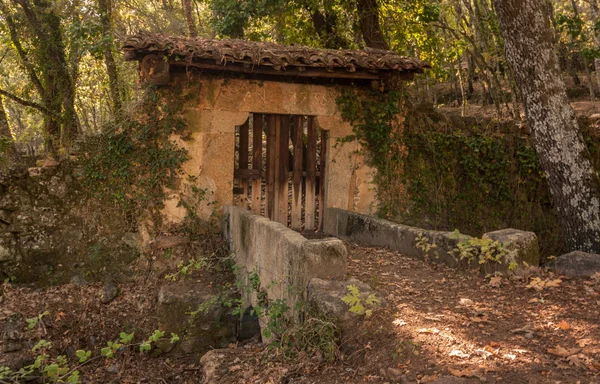 Puerta vieja y abandonada — Foto de Stock