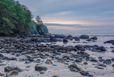 Neah Körfezi Plajı