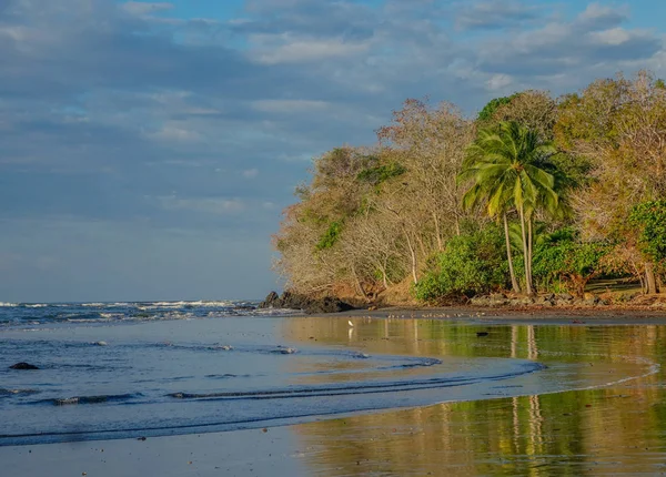 Panorama plaży Santa Catalina — Zdjęcie stockowe