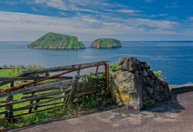 Yeşil çayır görünümü