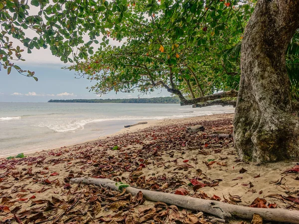 Plaża w Cahuita Np, Kostaryka — Zdjęcie stockowe