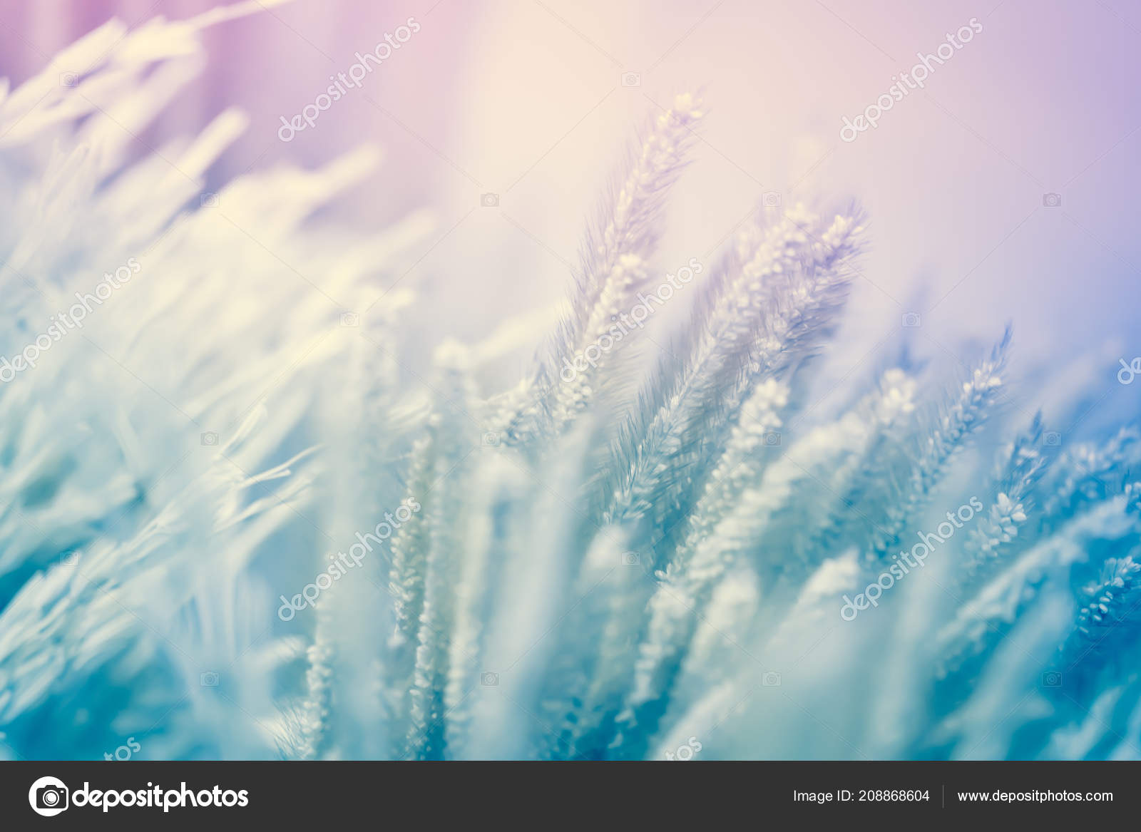 Background Bright Light Beautiful Color Blur Stock Photo 208868604