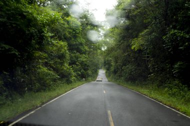 Bulanık park bokeh ile uzun bir gün doğal zemin üzerine yağmur yol ışık