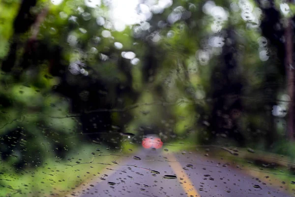 Parque Desfocado Com Luz Bokeh Longo Estrada Dia Chuva Fundo — Fotografia de Stock