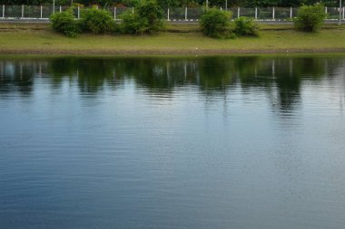 Gölgeler yeşil ağaç ve otların kıyısında akşam yansıtacak..