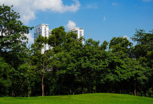 Park in city of Bangkok in Thailand, with office building against clear blue sky with green leaves frame.